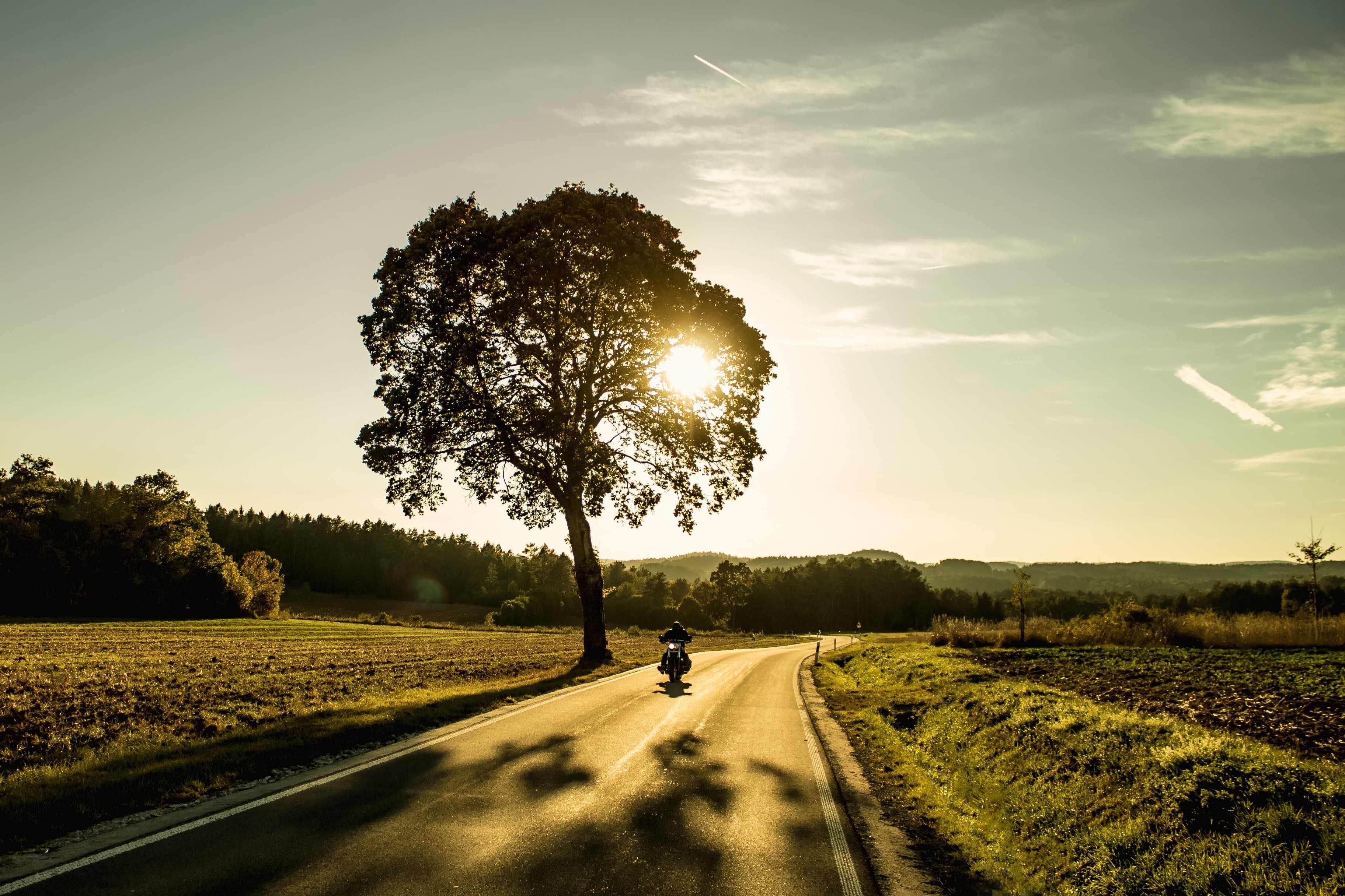 Sunset Rides